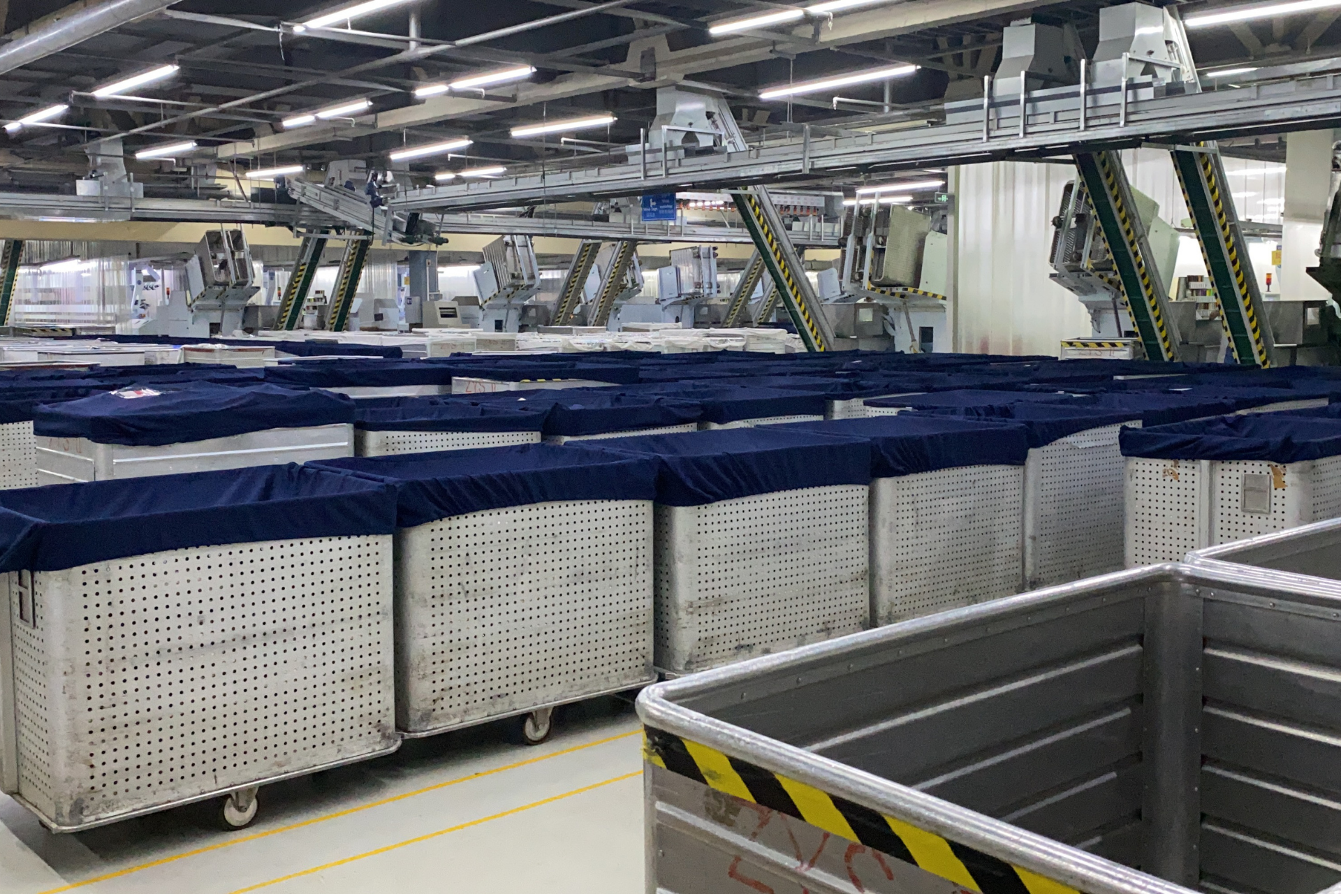 シープブレスの開始時期について