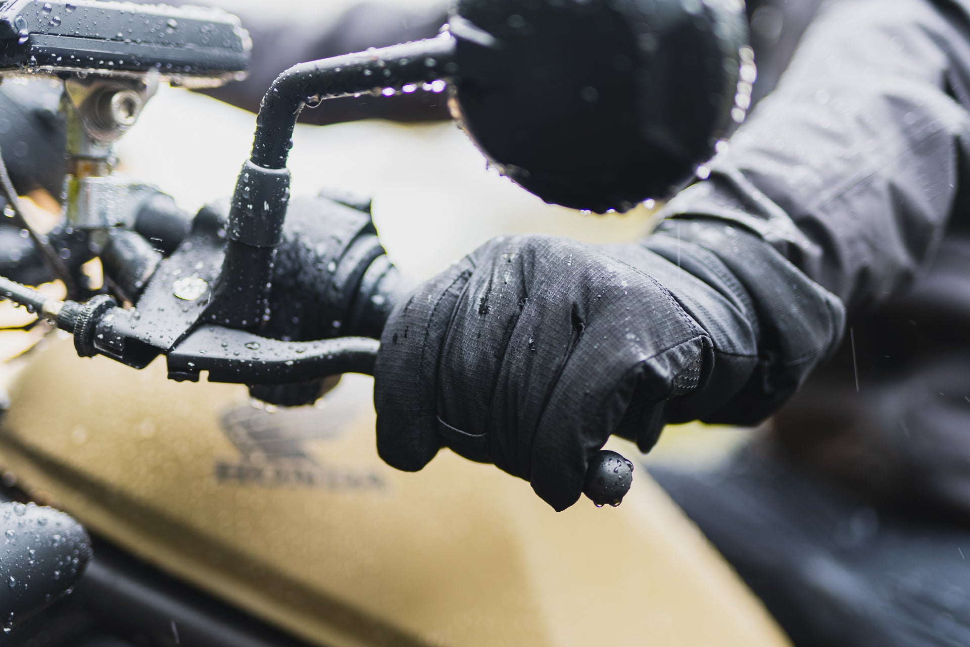 フェアリーノヴァ、明日開始!👏