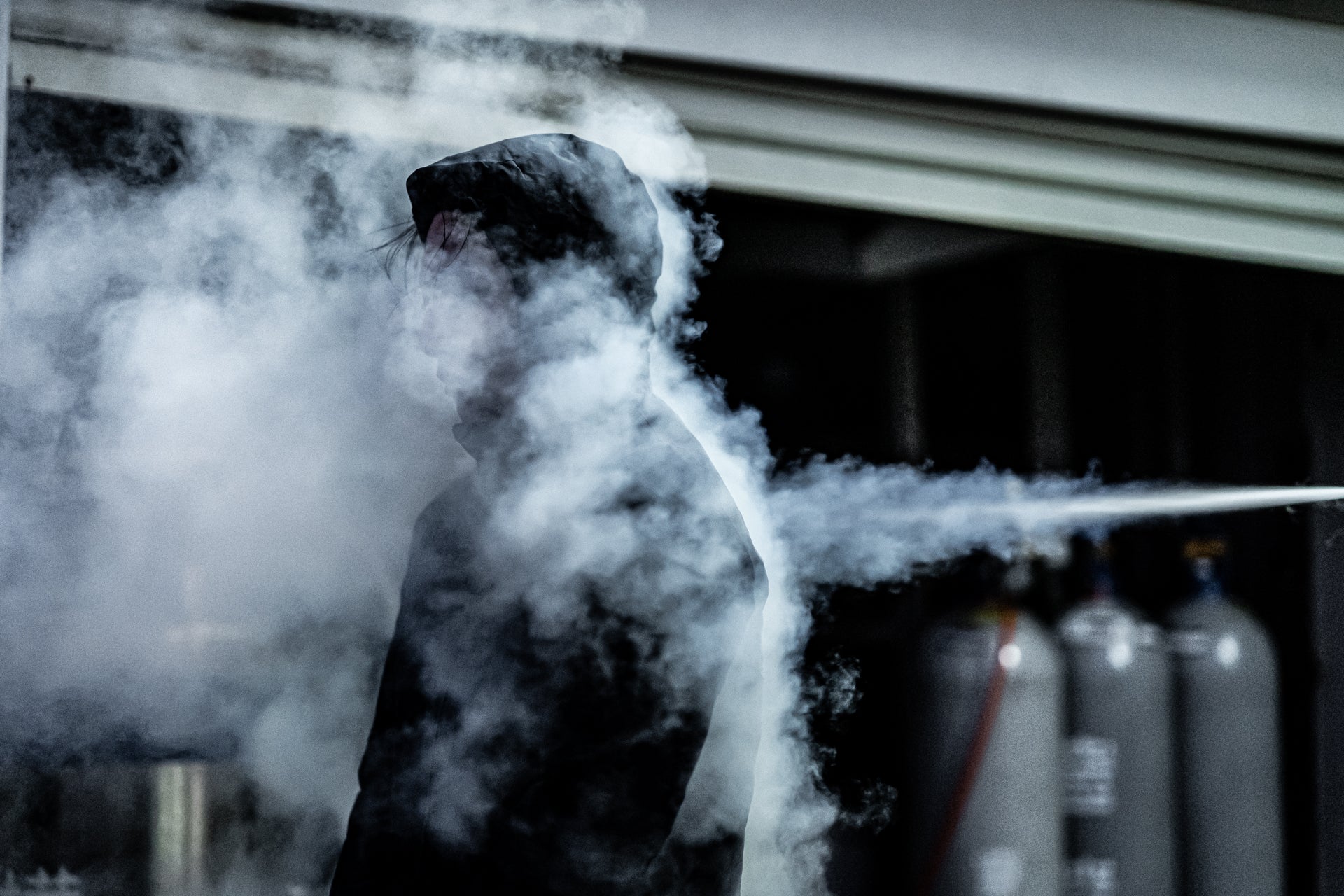 結局フェアリーノヴァって何が凄いの❓👀