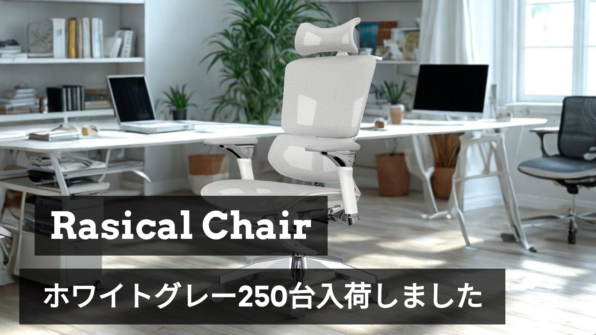 ラシカルチェア、ホワイトグレー9月24日より約250台を出荷開始します。