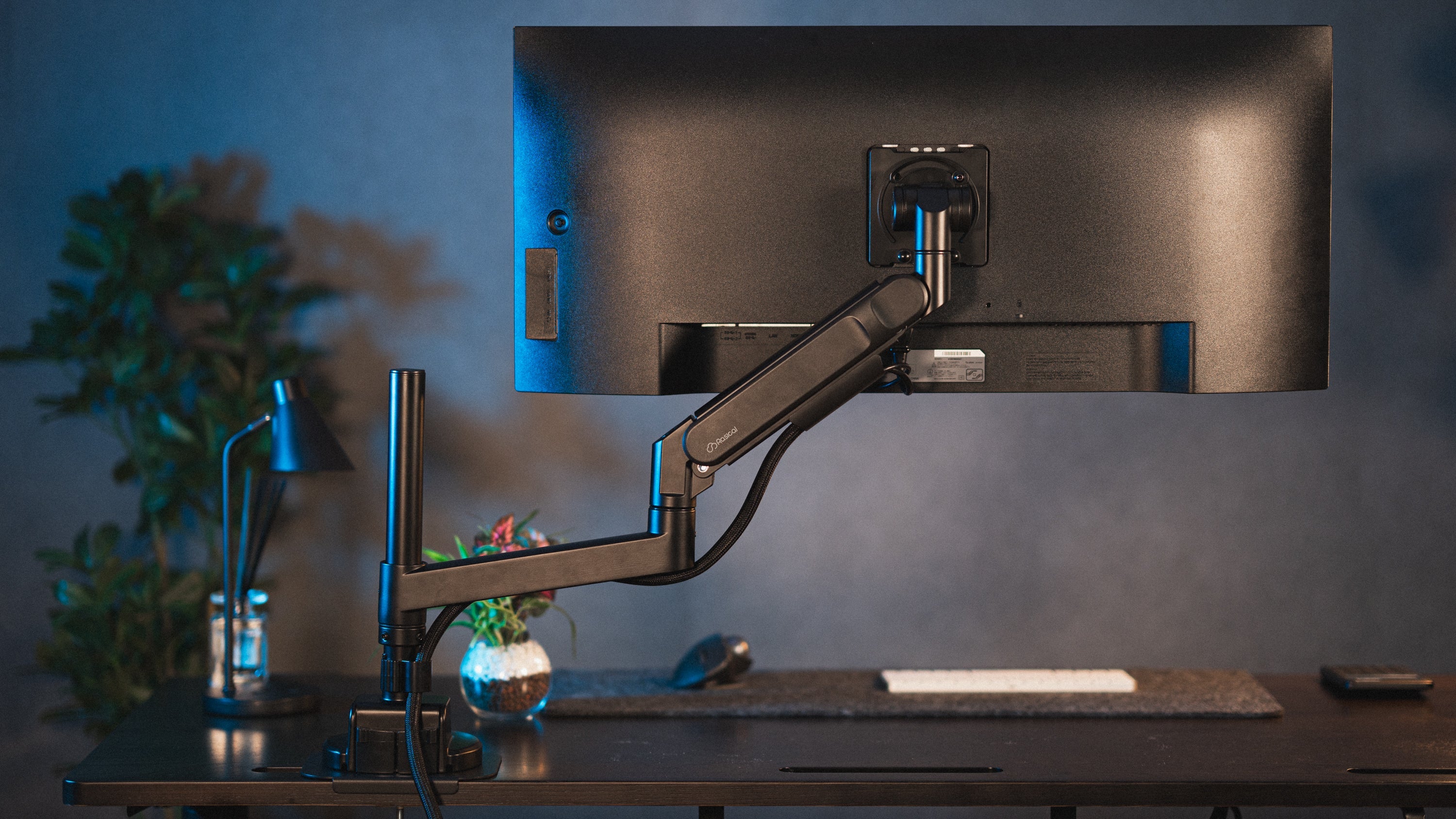 Rasical Desk プレミアムセット【12月末までにお届け予定】