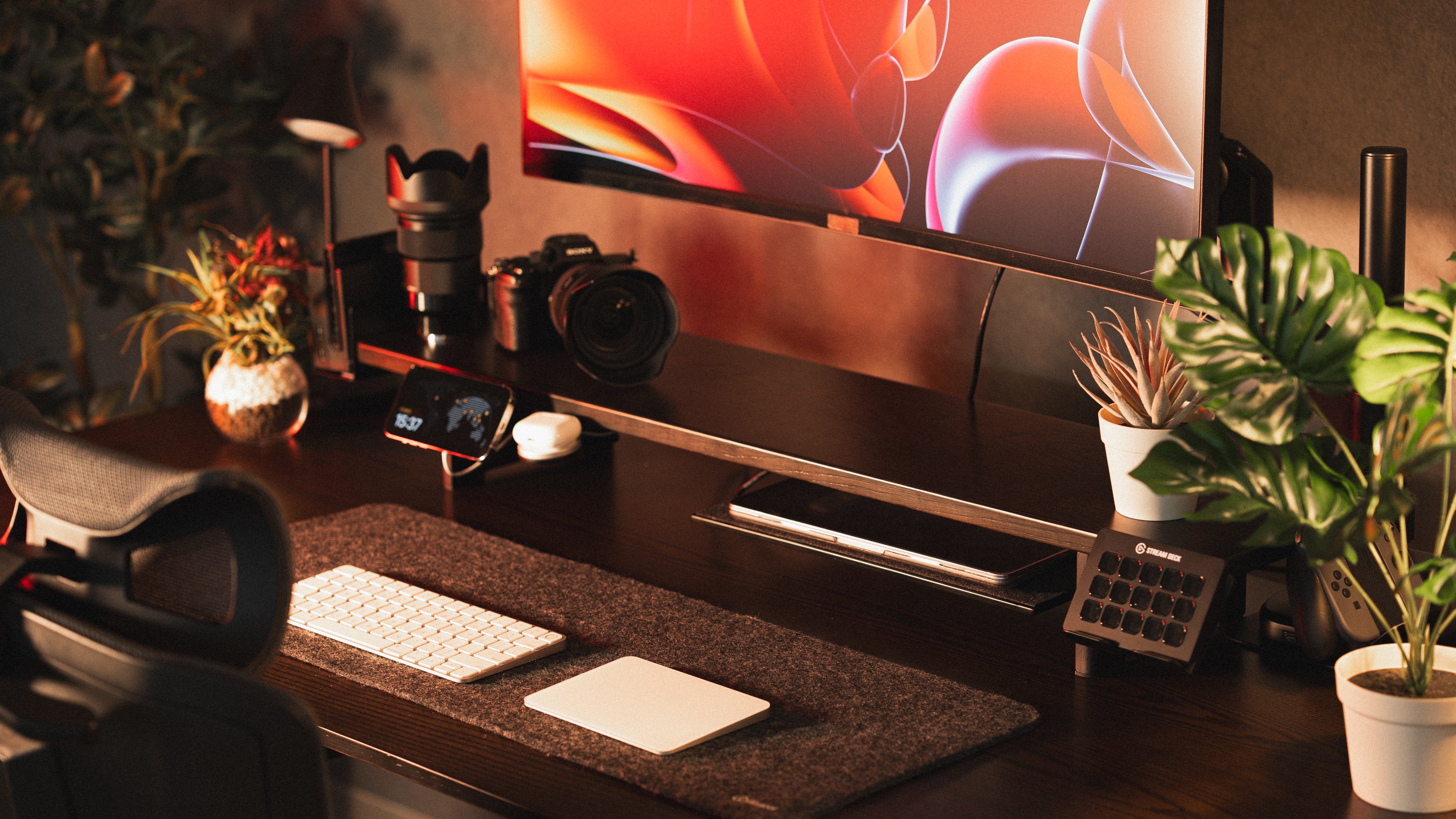 Rasical Shelf Premium 6点セット