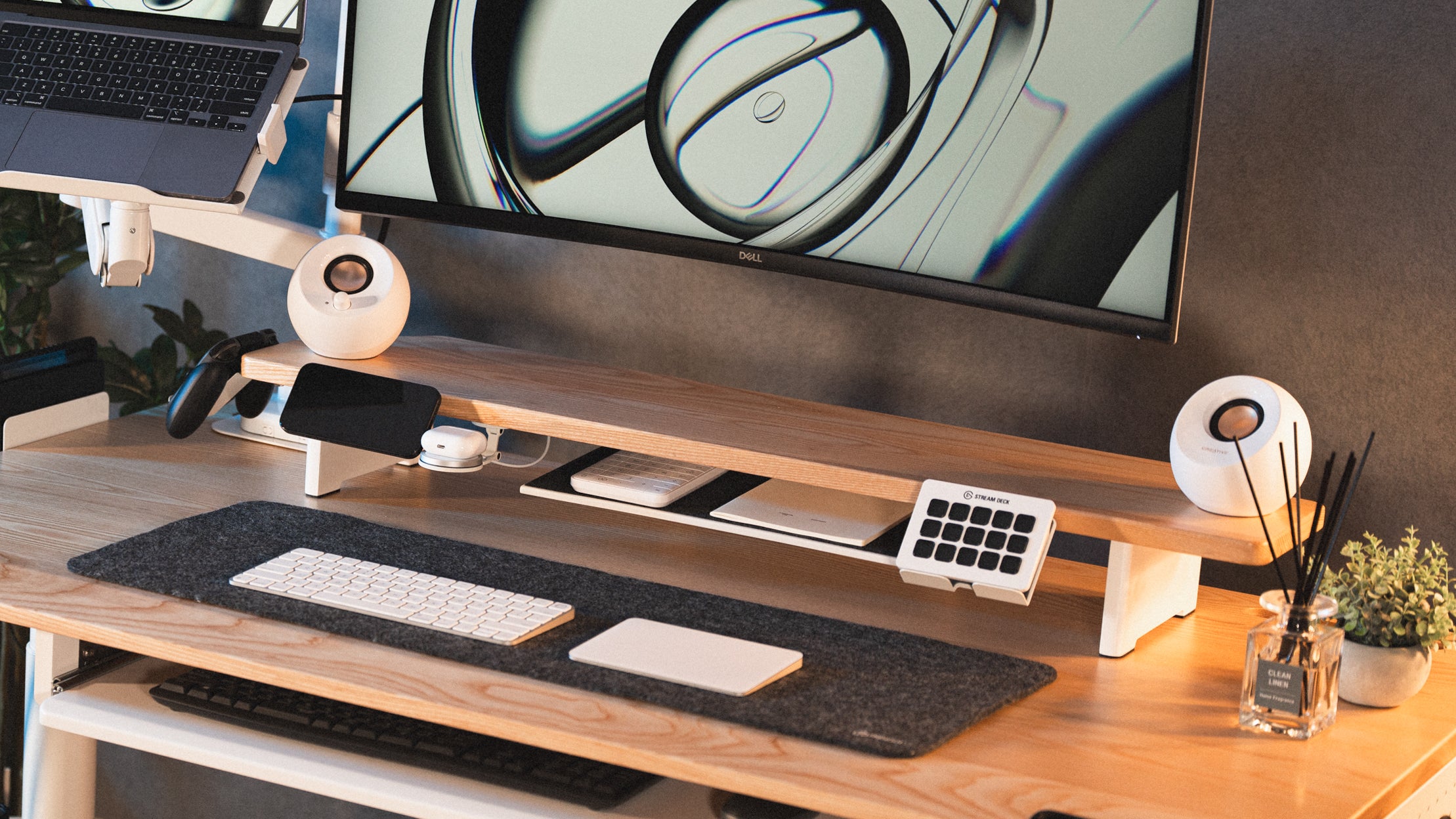 Rasical Shelf プレミアムセット【即納】