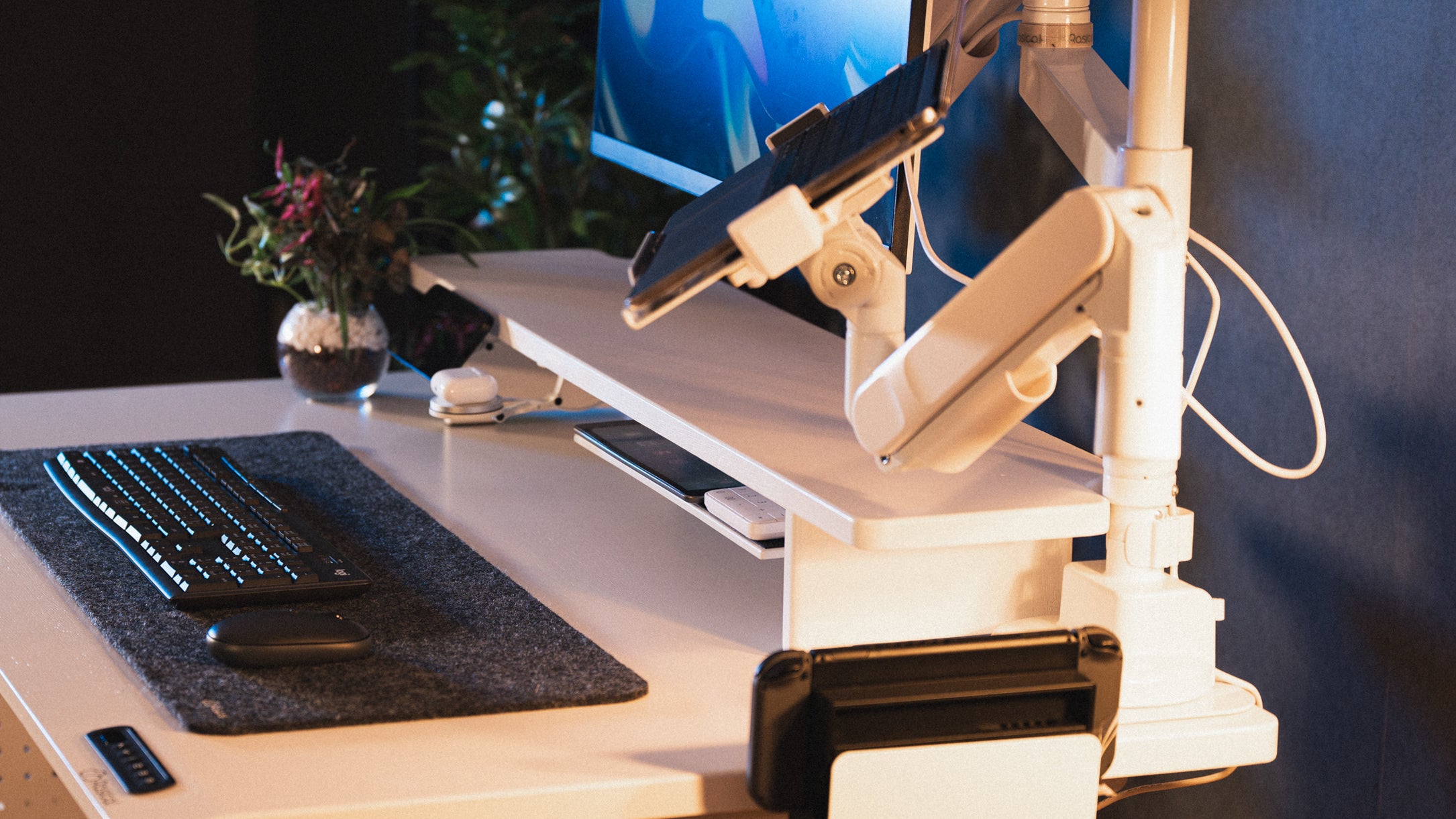 Rasical Shelf プレミアムセット【即納】