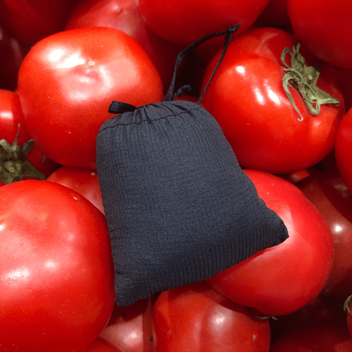 24gで超小型、25Kgまで運べる「エコラシバッグ」【予約受付中】 - RASICAL