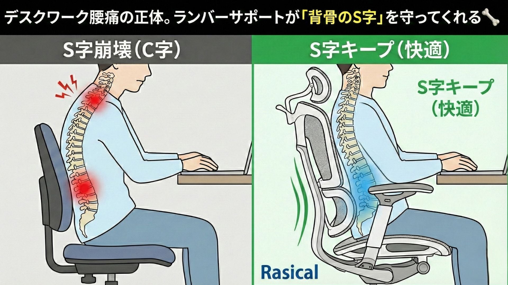 デスクワーク腰痛の正体。ランバーサポートが「背骨のS字」を守ってくれる🦴
