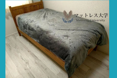 日本最大級の寝具情報メディア、マットレス大学様「フェアリーノヴァ掛け布団」レビュー✍️ FairyNova Comforter mattress-university review