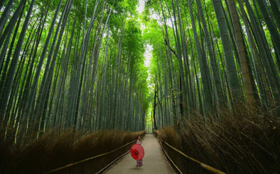 京都を出たことがない僕が、初海外で感じた人生を豊かにする思考法