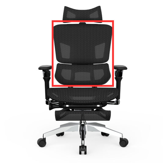 Rasical Chair用 背もたれのみ