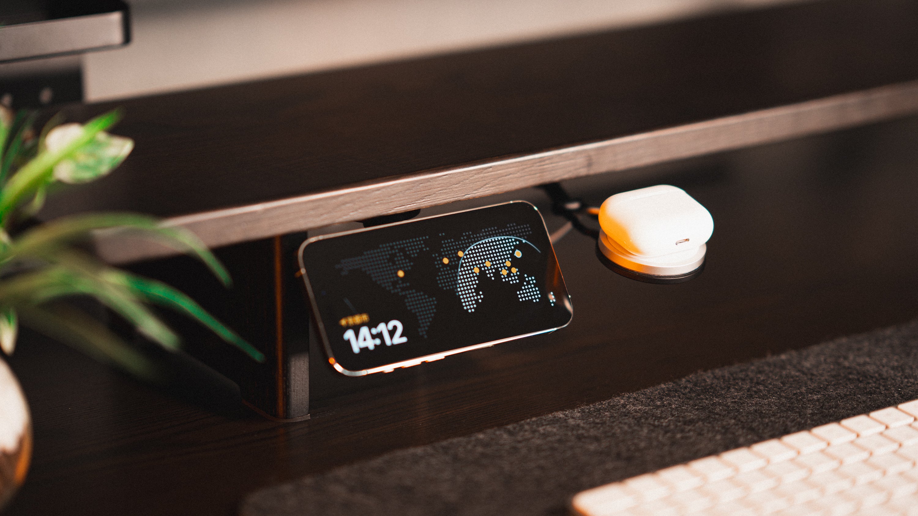 Rasical Shelf プレミアムセット【即納】