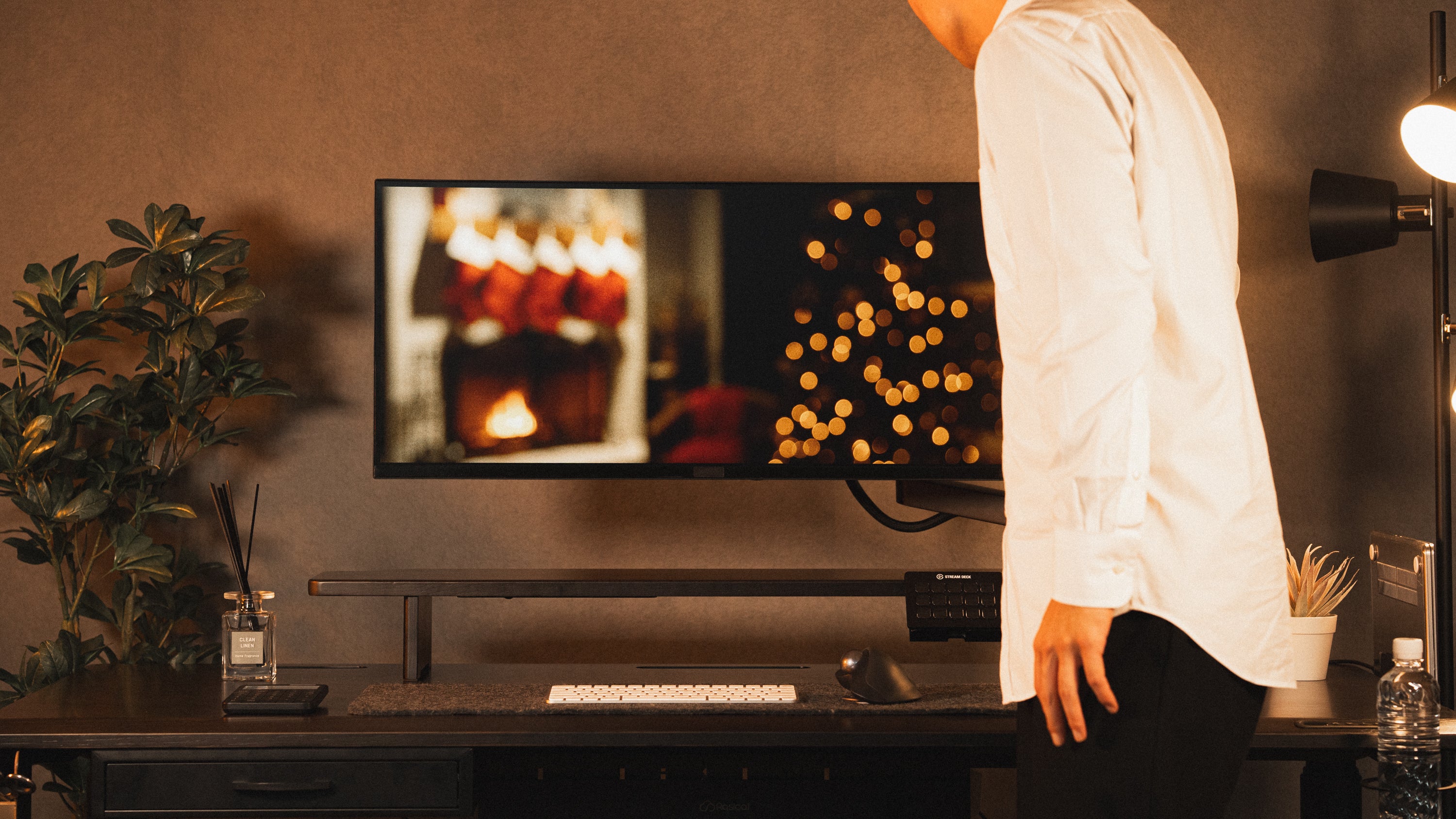 Rasical Monitor Arm (アウトレット)