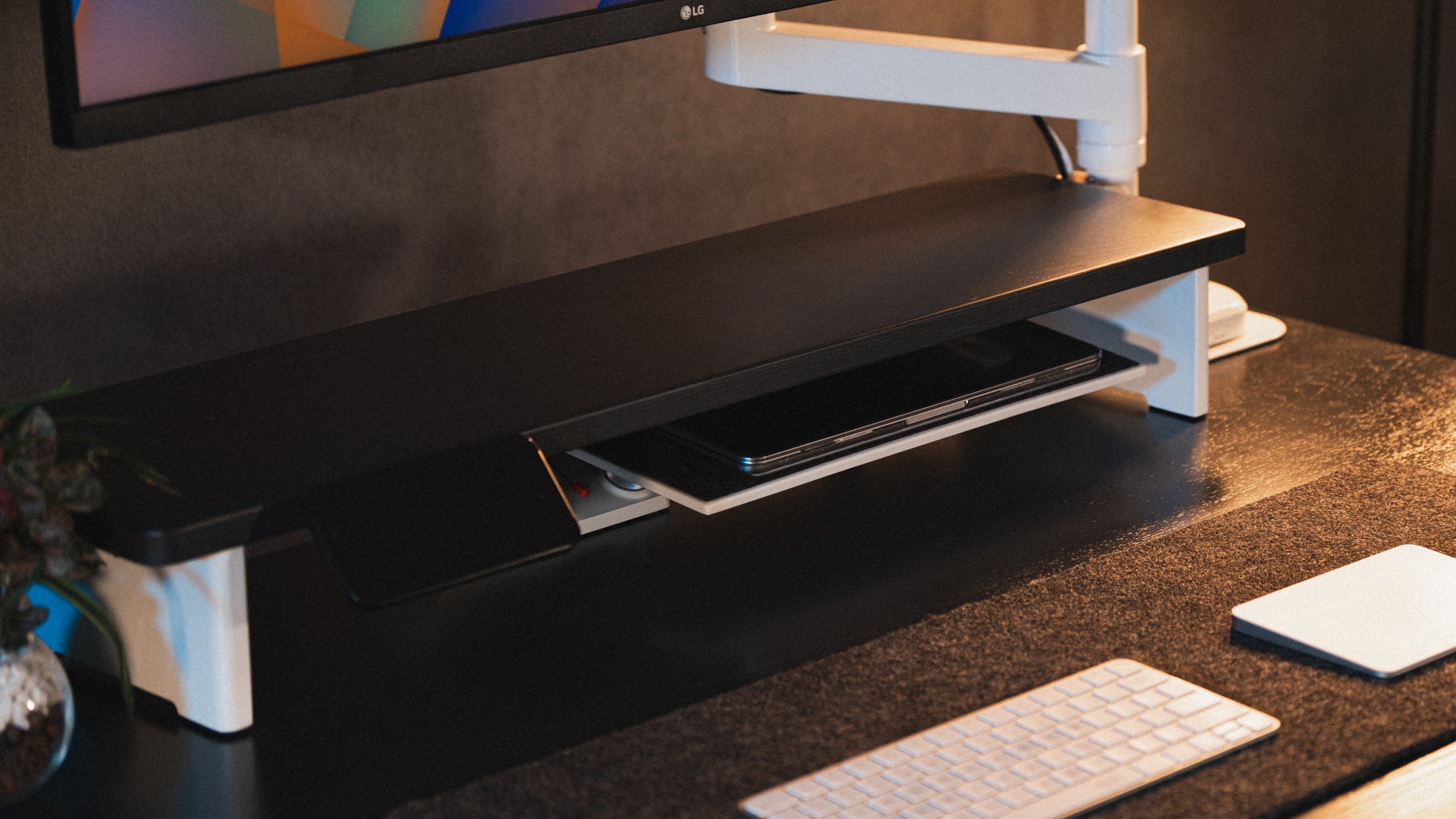 Rasical Shelf プレミアムセット【即納】