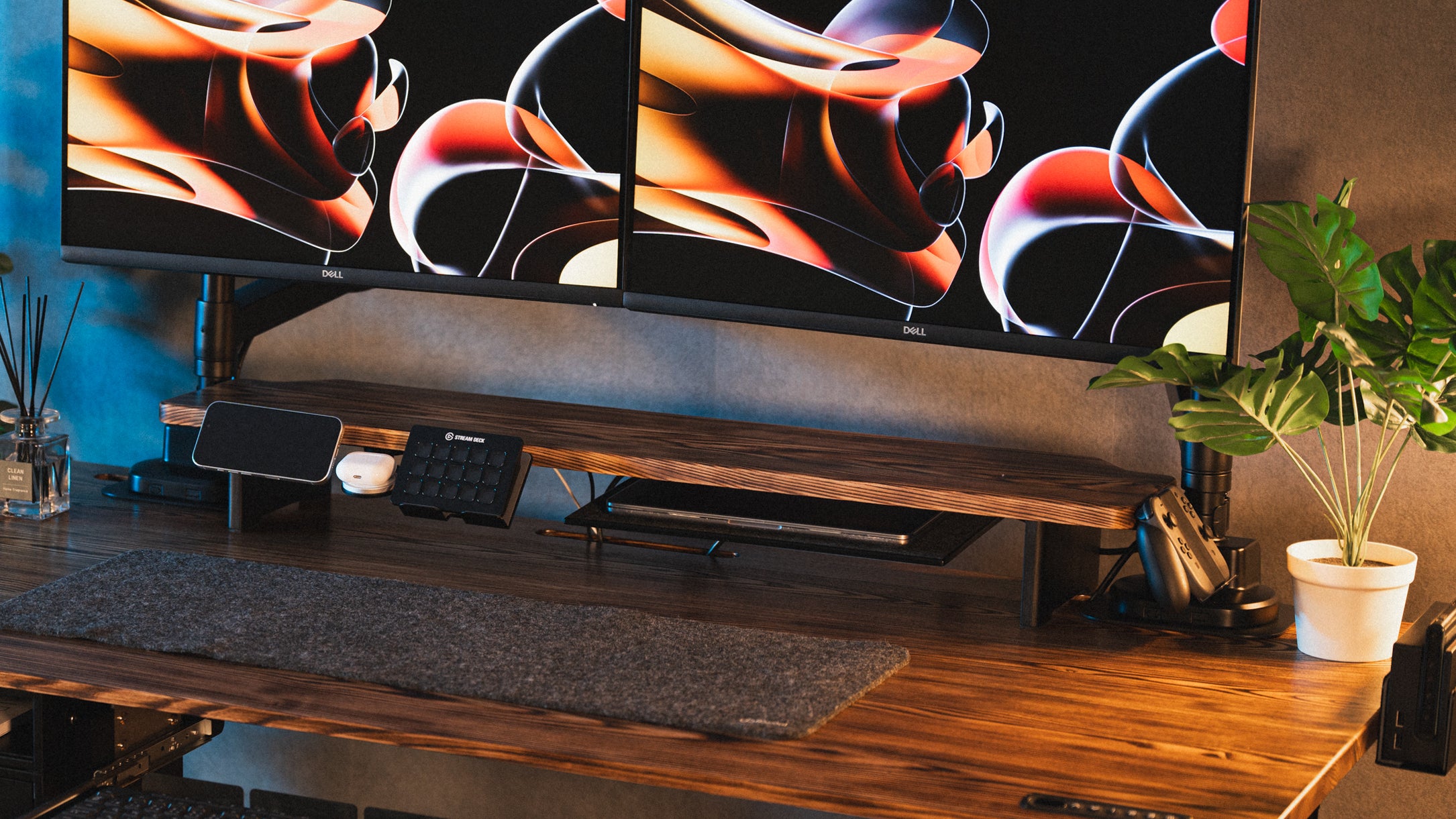 Rasical Shelf プレミアムセット【即納】