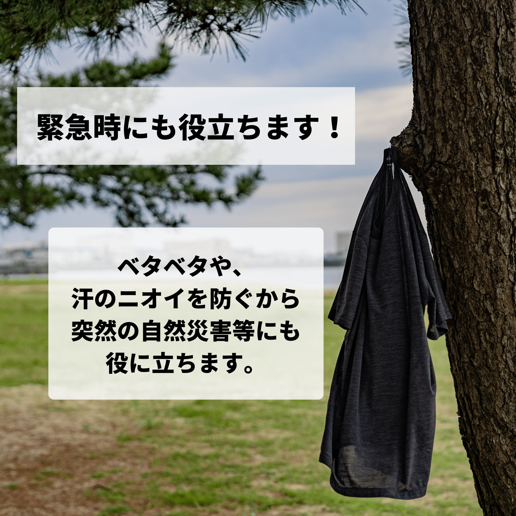 【早い者勝ちアウトレット】B級品、数日着ても臭わないノーベル賞素材Tシャツ「シープブレス」by CosmosWool™【即納】